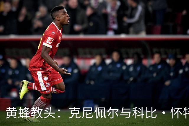 黄蜂教头：克尼佩尔与科比·怀特复出状况仍需观察